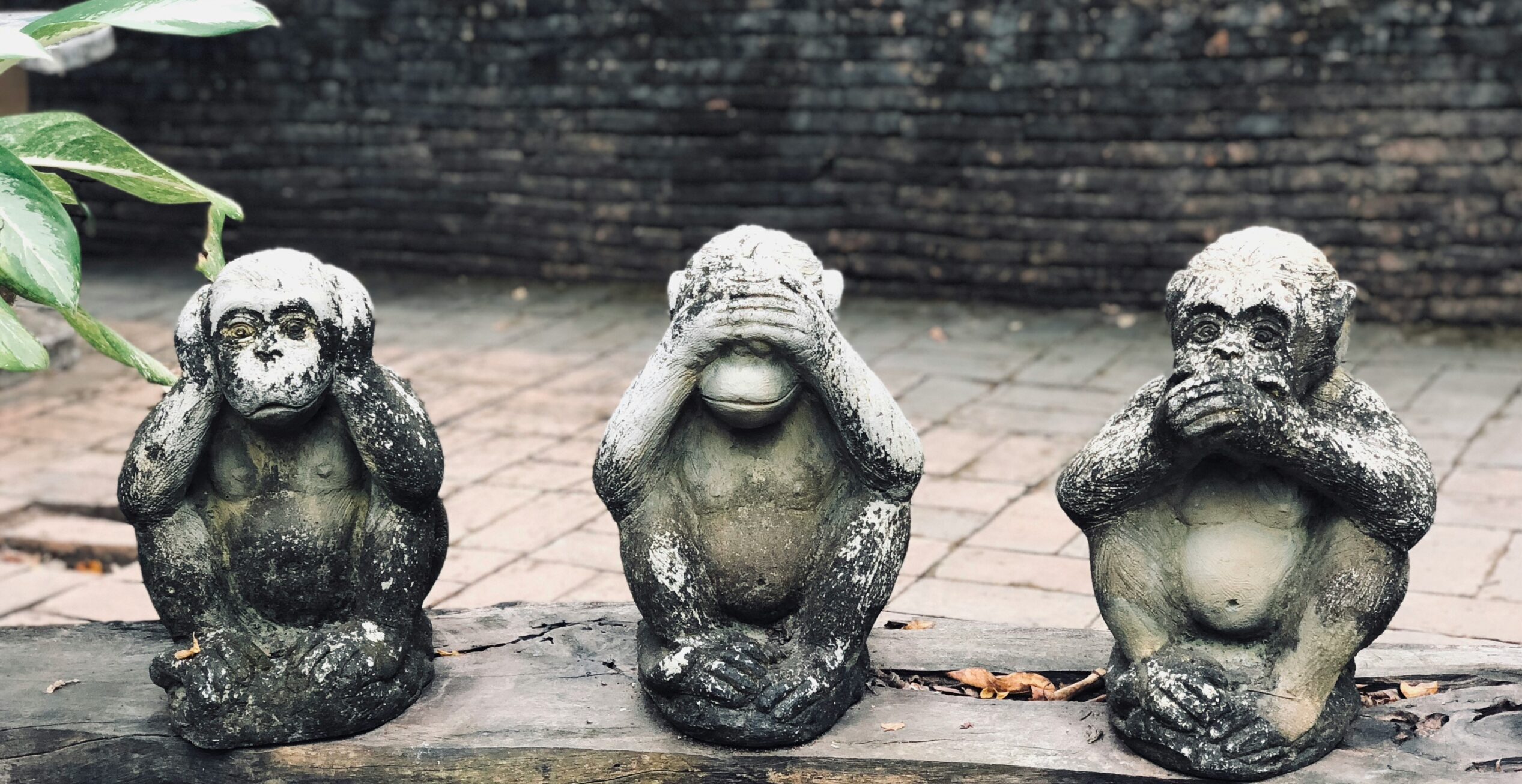 Figuren von drei Affen, einer hält sich die Ohren, der zweite die Augen, der dritte den Mund zu.