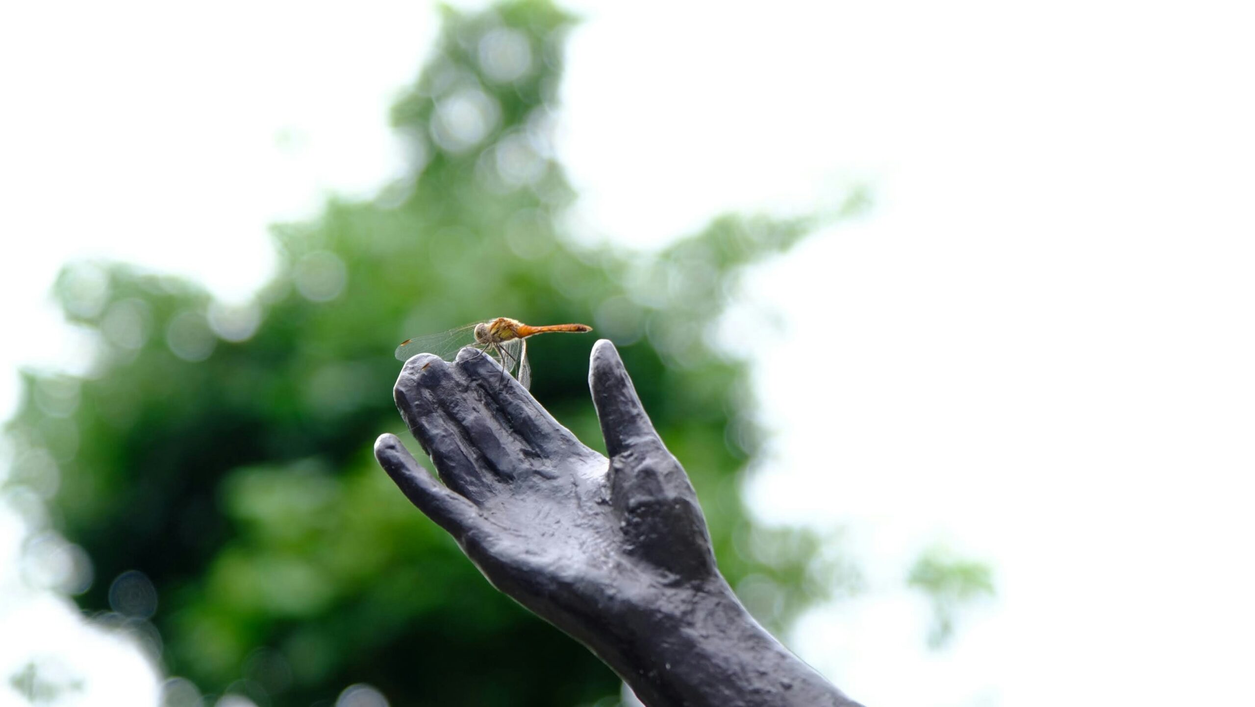 Eine Plastik einer Hand aus einem schwarzen Material. Auf dem Zeigefinger sitzt eine Libelle. Im Hintergrund ist unscharf ein Laubbaum zu sehen.