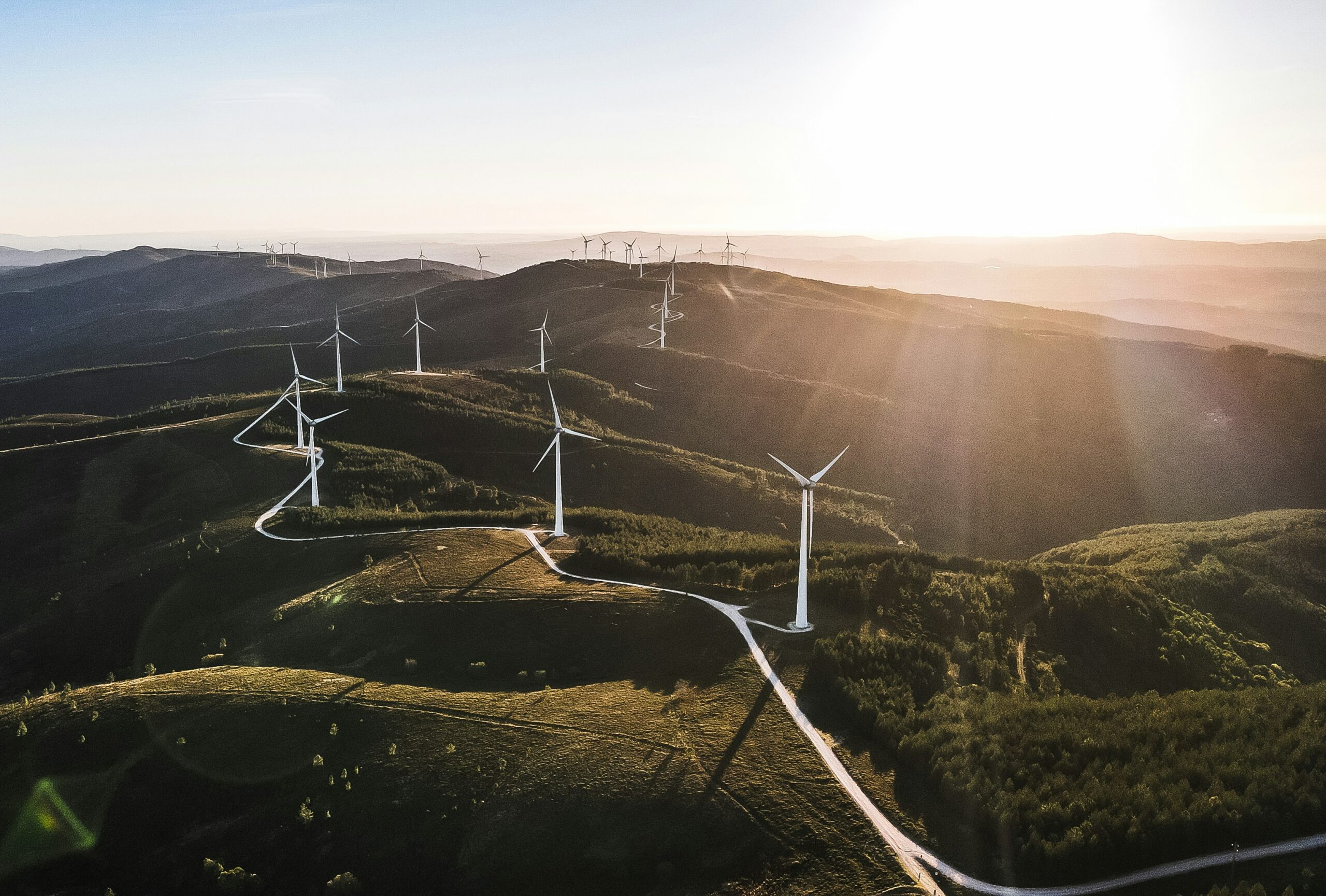 Eine Luftaufnahme von einem Windpark auf grünen Hügeln in der Sonne.